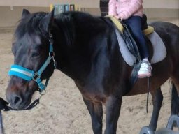 46274837010068044379141715039355843359624392n